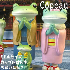 Copeau R|[ N Jbv́A肢H ~hTCY JG u 