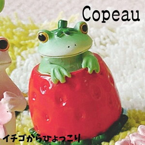 Copeau R|[ t XvO C`SЂ JG u 