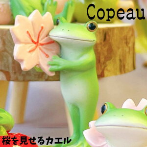 Copeau R|[ t XvO JG JG u 