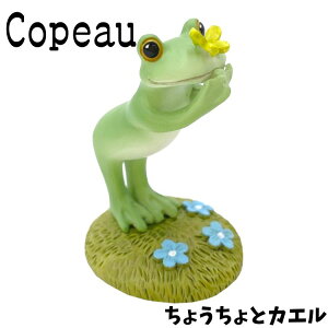 Copeau R|[ t XvO 傤ƃJG JG u 