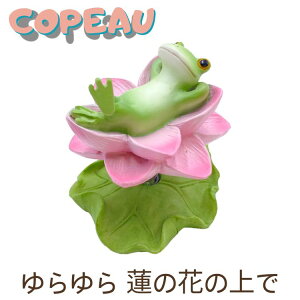 Copeau R|[ ~J Cj[  @̉Ԃ̏ JG u 