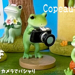 Copeau R|[ BbW JŃpV JG u 