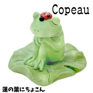 Copeau R|[ X^_[h @̗tɂ傱 JG u 
