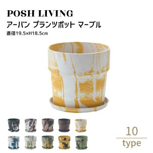 Posh Living |bVrO A[o vc|bg }[u