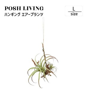 Posh Living �|�b�V�����r���O �n���M���O �G�A�[�v�����c L