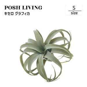 Posh Living |bVrO LZ OtBJ S