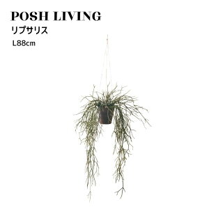Posh Living |bVrO vTX