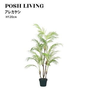 Posh Living |bVrO AJV