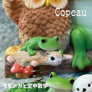 Copeau �R�|�[ �������K�Ƌ󒆎U��