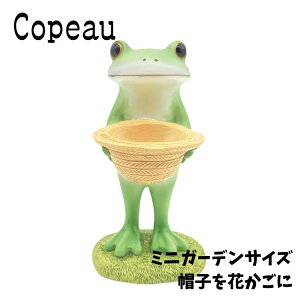 Copeau �R�|�[ �~�j�K�[�f�� �X�q���Ԃ�����