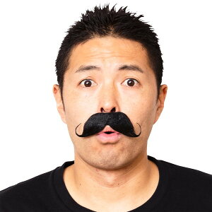 コスプレ 仮装 変装衣装 ひげ ホビーの人気商品 通販 価格比較 価格 Com