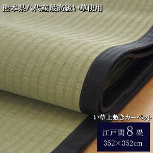 IKEHIKO CPqR  ~ J[ybg ȐD  ]ˊ8 352×352cm