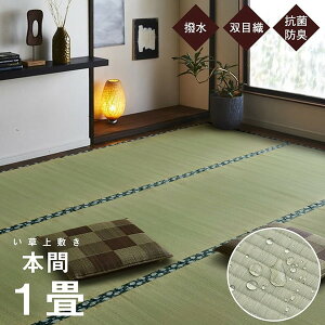IKEHIKO イケヒコ 純国産 い草 上敷き カーペット 双目織 撥水 ほほえみ 本間1畳 95×191cm
