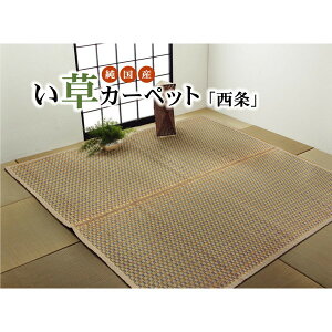 IKEHIKO CPqR Y  Ԃ J[ybg  ]ˊ8 348×352cm BEFx[W