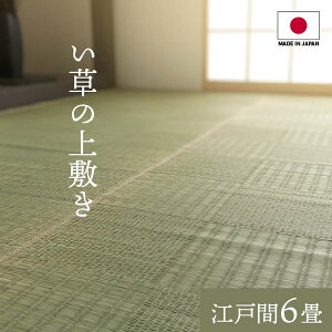 IKEHIKO CPqR Y  ~ J[ybg ObZ ]ˊ6 261×352cm