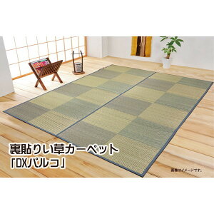 IKEHIKO CPqR Y  Ԃ J[ybg DX pR ]ˊ8 348×352cm