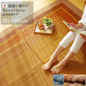 IKEHIKO イケヒコ 国産 い草 ラグ カーペット DX ランクス 2畳 191×191cm