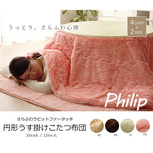 IKEHIKO CPqR ӂ rbgt@[^b` ȃXy[X ~` zc tBbv ~` 220cm