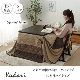 IKEHIKO イケヒコ ハイタイプ こたつ 薄掛け布団 ゆかり 長方形 235×275cm BE：ベージュ