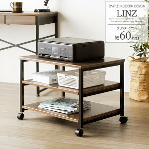 LINZ �����c �e���r�{�[�h �v�����^�[���S�� ��60cm �u���E��