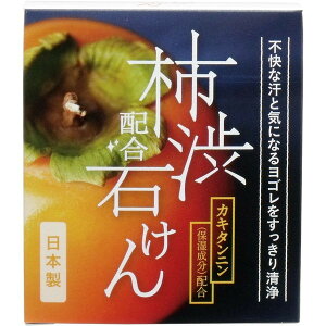 N[o[R[|[V `az΂ WHY-SKA 100g