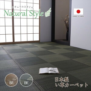 IKEHIKO CPqR mA Y  J[ybg ]ˊ4.5 261×261cm