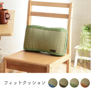 IKEHIKO �C�P�q�R �N���A �R�o�K�[�h ���� �t�B�b�g�N�b�V���� 38×20cm