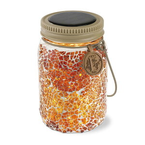 KISHIMA LV} ETOILE Gg \[[ K[fCg Ao[VC KL-10356