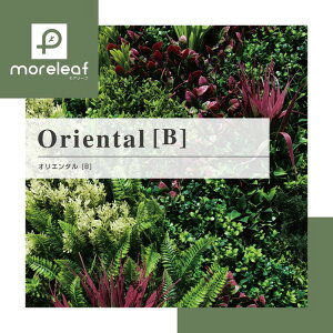 moreleaf ���A���[�t orientalB
