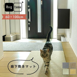 D݂ J[ZNg Rugtasu O^X L~}bg 60×100cm