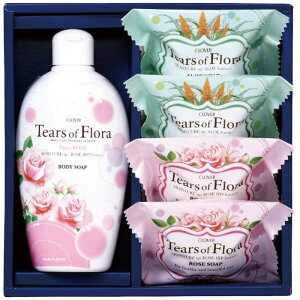 N[o[R[|[V eBA[YIut[ \[vZbg TFR-10