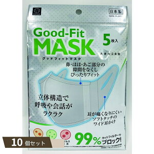 Good-Fit }XN 傫 ̌^ 5 ×10Zbg ykokz