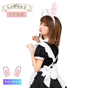 ݂ J`[V  Zbg  ݂  RXv  ӂӂ ӂ fB[X  l RX`[ ߑ 