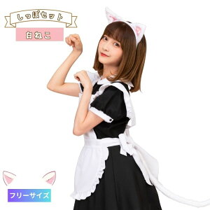 ݂ J`[V  Zbg L ˂ L݂ L  RXv  ӂӂ ӂ fB[X  l RX`[ ߑ 