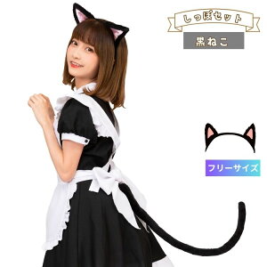 ݂ J`[V  Zbg L ˂ L݂ L  RXv  ӂӂ ӂ fB[X  l RX`[ ߑ 