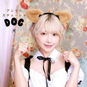  uE hbO J`[V wAANZT[ RXv ߑ  RX`[  Aj} `[t J`[V