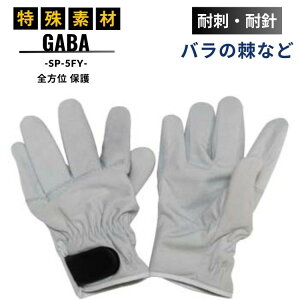 ϐj ώh GABA  S ی SP-5FY