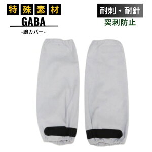 ϐj ώh GABA FG rJo[