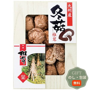 ͕Y BY  ǂ񂱒ő SPD-20 Mtg v[g 蕨   l ̂  yAMtgz