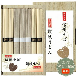 ˏ 悵 MB ]򂤂ǂ l SF-10E Mtg v[g 蕨   l ̂  yAMtgz