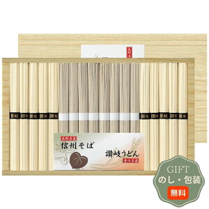 ˏ 悵 MB ]򂤂ǂ l SF-50E Mtg v[g 蕨   l ̂  yAMtgz