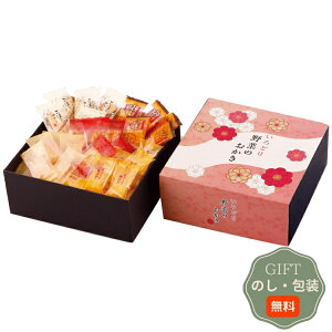 ^NZC ǂ؂  IR-2N Mtg v[g 蕨   l ̂  yAMtgz