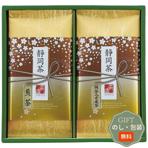 Rc É l S-N251 Mtg v[g 蕨   l ̂  yAMtgz