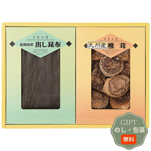 ͕Y ő z l SK-20 Mtg v[g 蕨   l ̂  yAMtgz