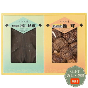 ͕Y ő z l SK-30 Mtg v[g 蕨   l ̂  yAMtgz