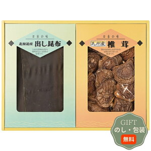 ͕Y ő z l SK-50 Mtg v[g 蕨   l ̂  yAMtgz