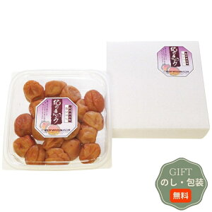 }}Hi IBY  썂~ Ǐb 450g 2060453 Mtg v[g 蕨   l ̂  yAMtgz