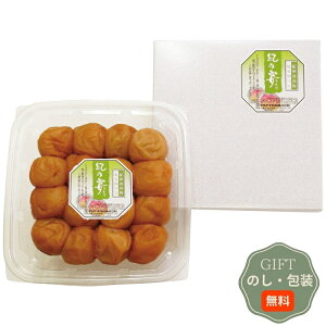 }}Hi IBY  z~ Ỉ 500g 2120505 Mtg v[g 蕨   l ̂  yAMtgz