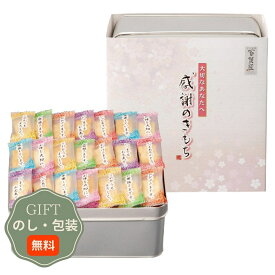 大阪前田製菓 百菓匠まえだ 感謝のきもち OTN-30 ギフト プレゼント 贈り物 贈答 包装 熨斗 のし 無料 【Aギフト】