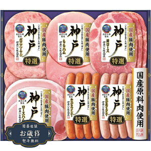 Ε ɓn _ Mtg IKE-301Mtg v[g 蕨  l ̂  yLOI25Εz